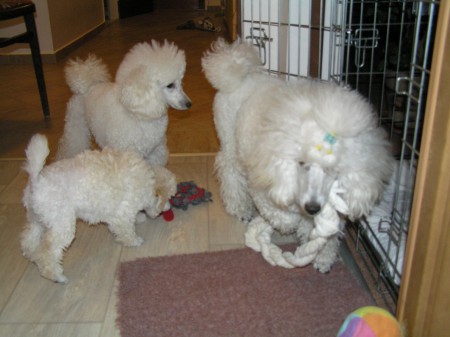 ...jo, voní to a Demi si našel jinou...